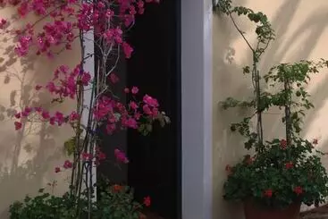 Bed and Breakfast Sorecanu