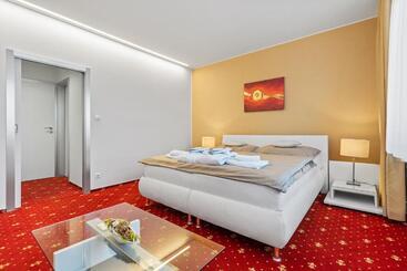 פנסיון Vila Jiřinka