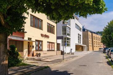 Pension (Hôtel basse catégorie) Vila Jiřinka