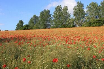 Сельский дом Delightful Apartment In Rerik Near Baltic Sea