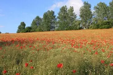 Mökkimajoitus Delightful Apartment In Rerik Near Baltic Sea