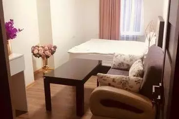 ユースホステル Mini Hotel Sevan