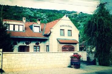 پانسیون Borgaléria