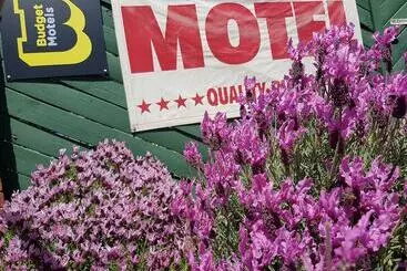 モーテル Mansfield Travellers Lodge