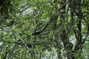 ペンション Sath Rest