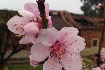 هتل Mount Tai Wu Cozy