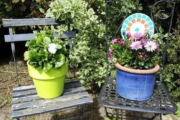 Bed & Breakfast Prins Hendrik