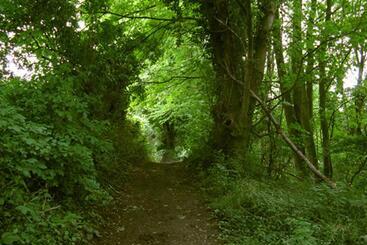 فندق Appartement Hoeve Espewey Leisure Only