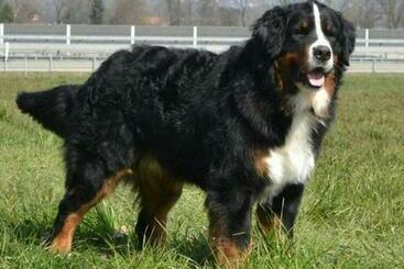 Otel Bergblick Lodge 3 Sterne Garni Neueröffnung