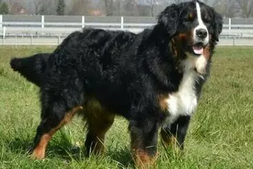 Hotel Bergblick Lodge 3 Sterne Garni Neueröffnung