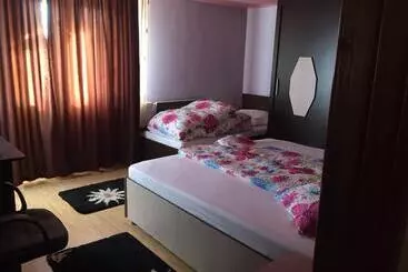 Pensjonat Casa Lidia și Gogu
