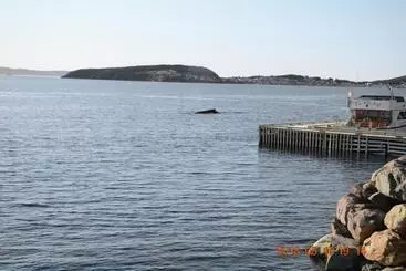 Hospedaria Dildo Boathouse Inn