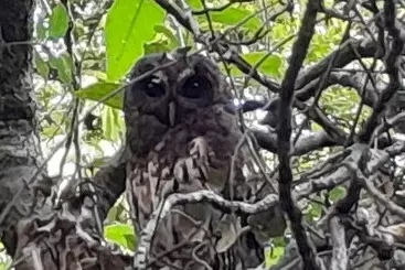 Mökkimajoitus Cabañas La Montaña