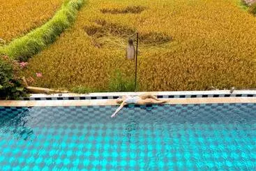 Otel The Sawah Resort & Villa