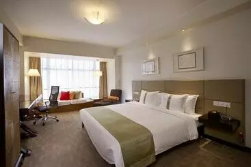 Otel Holiday Inn Central Plaza
