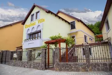 Pensione Cosbuc Residence & Villa