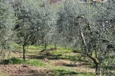 Hotel I Due Melograni Agriresort