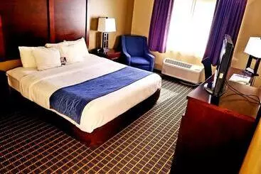 Hotelli Comfort Inn Fort Collins North