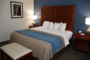 فندق Best Western Northwest Corpus Christi Inn & Suites