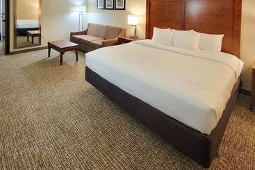 Hotel Spark By Hilton San Antonio Airport