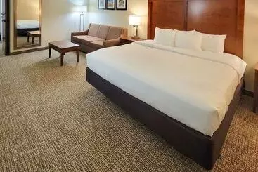 هتل Spark By Hilton San Antonio Airport