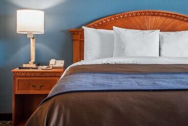 ホテル Comfort Inn & Suites