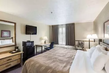 ホテル Quality Inn & Suites
