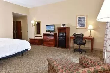 ホテル Hampton Inn Selma