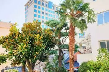 Pension Picasso Guesthouse
