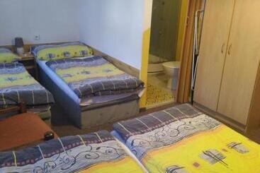 Pension Penzion Borovice