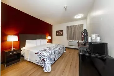 ホテル Red Roof Inn St Robert  Ft Leonard Wood