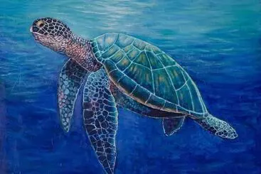 ホテル Bukit Pool Suites