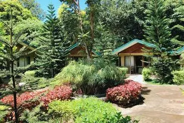 Ted S Bed And Breakfast