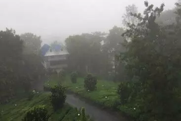 Resort Camellia And Elettaria