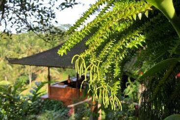 Bed and Breakfast Clove Tree Hill