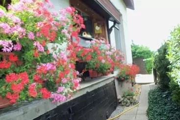 Pensjonat Les Egalieres