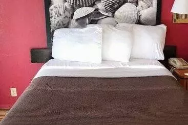 Hotel Royal Palace Inn And Suites Myrtle Beach Ocean Blvd