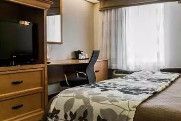 호텔 Sleep Inn Slidell