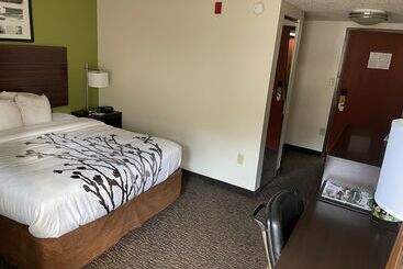 בית מלון כפרי Sleep Inn & Suites Near Sports World Blvd