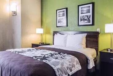 בית מלון כפרי Sleep Inn Walterboro I95