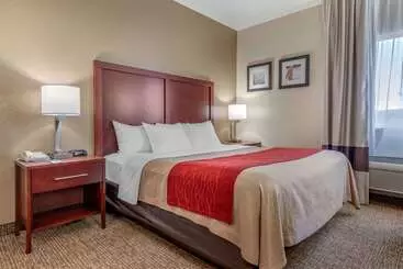 فندق على الطريق Comfort Inn