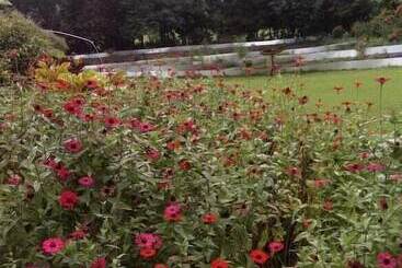 별장 Cabana En Finca Agroecolgica Los Pilares