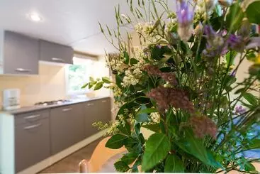 Hotel Camping De La Muse