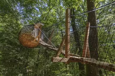 Hotel L'arbre à Cabane