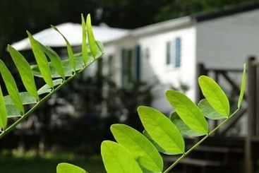 ホテル Camping Echo Du Malpas