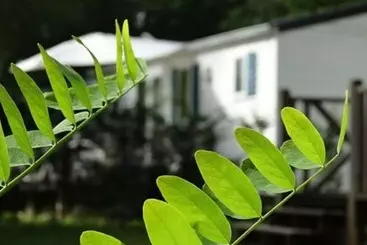 ホテル Camping Echo Du Malpas