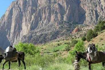 ペンション Gîte Taghia Climbing   Hostel