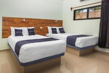 בית מלון כפרי Pejelagarto