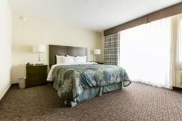 هتل Royal Palace Westwood