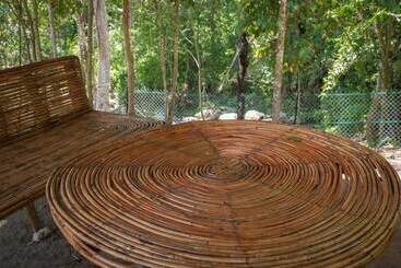 ホテル Rain Forest Inn